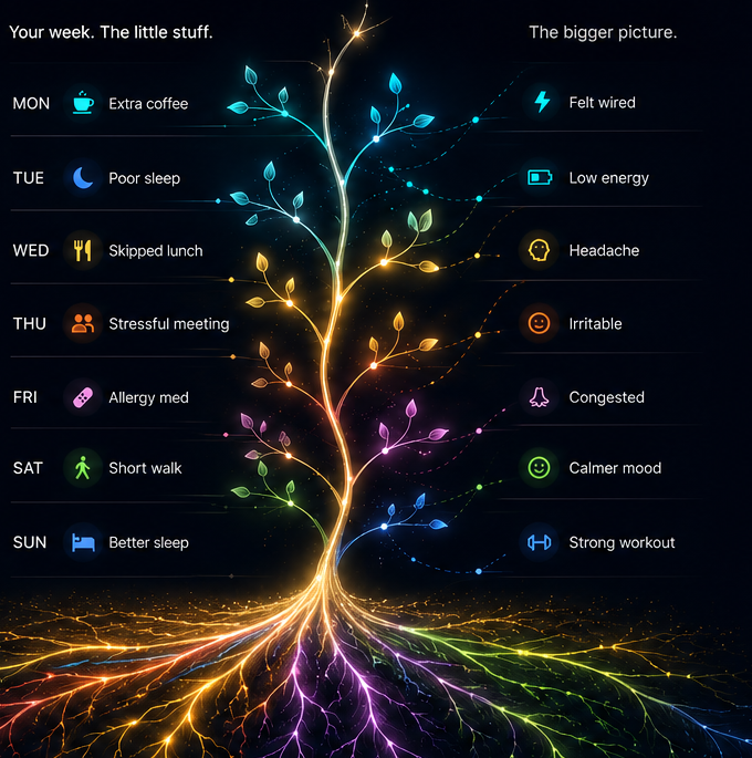 Your week's little stuff — the tree — and the bigger picture it forms